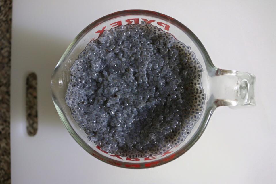 12573150_1724649171100718_7833781638602138251_n